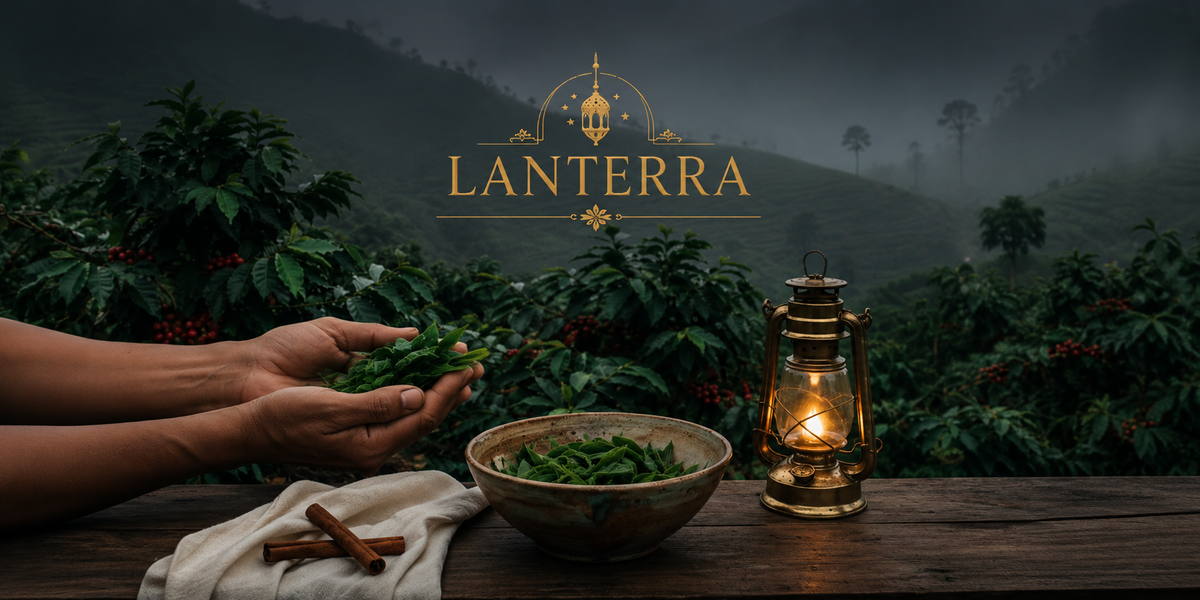 Lanterra single-estate coffee and tea