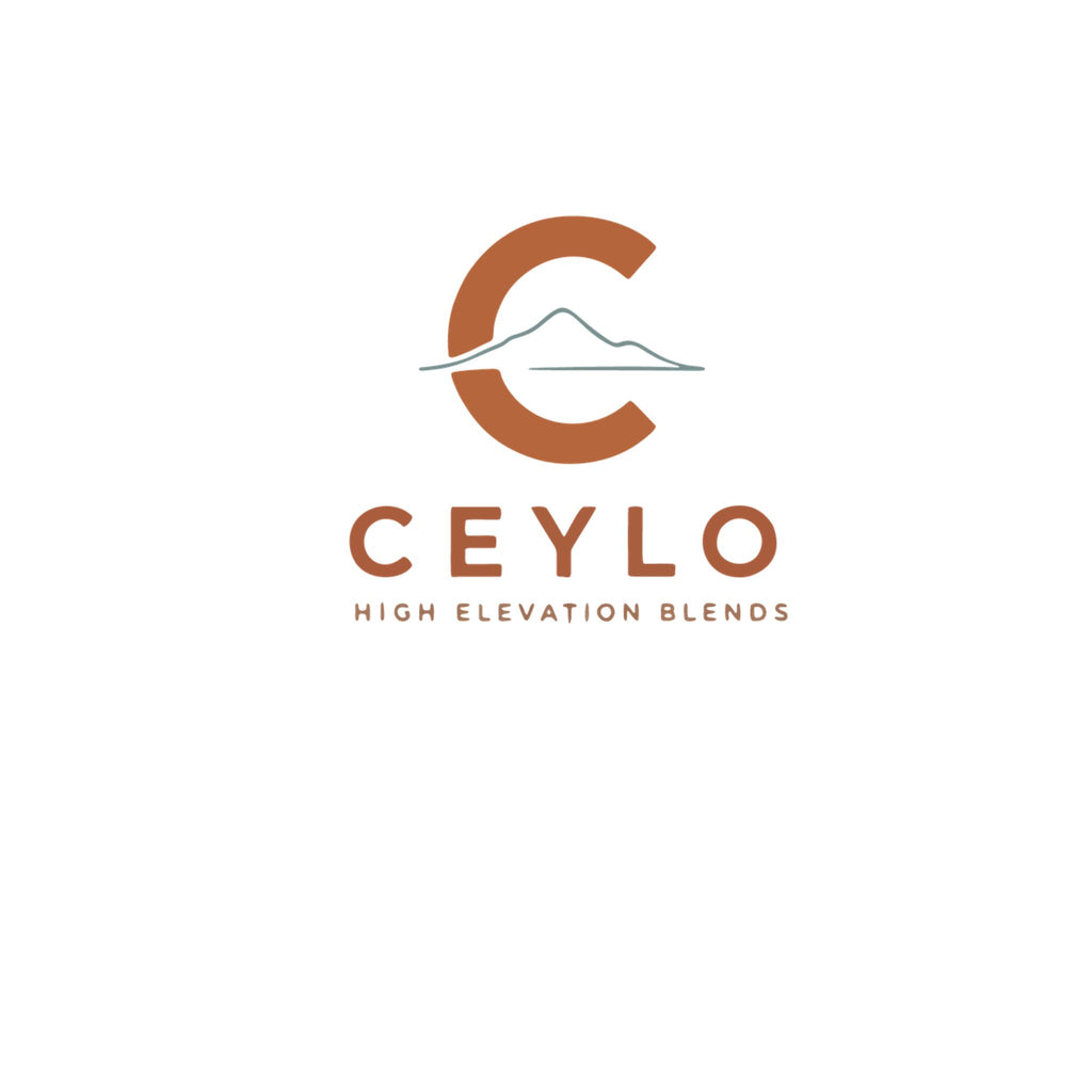 Ceylo 20oz Insulated Tumbler