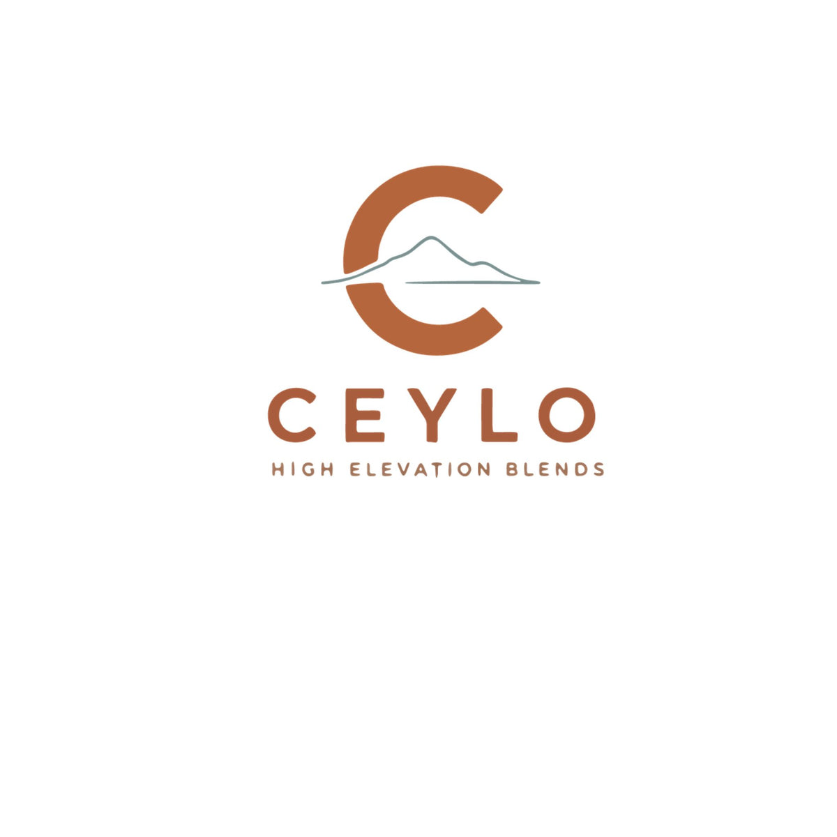 Ceylo 20oz Insulated Tumbler
