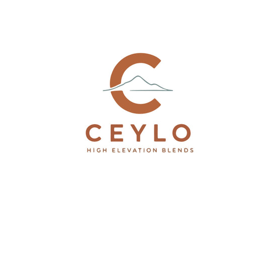 Ceylo 20oz Insulated Tumbler