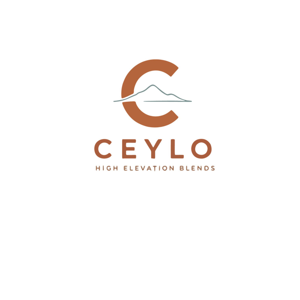 Ceylo 20oz Insulated Tumbler