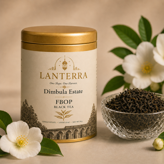 Dimbulla Estate FBOP Single Estate Ceylon Tea — 50g Tin
